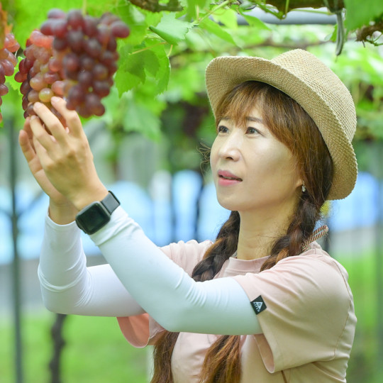 신민서