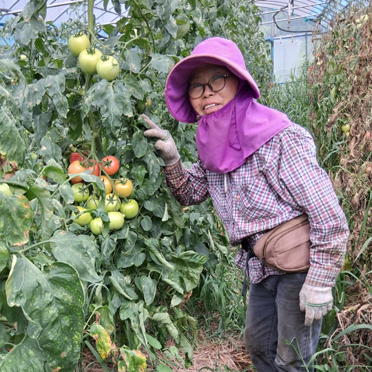 공상길, 차상분